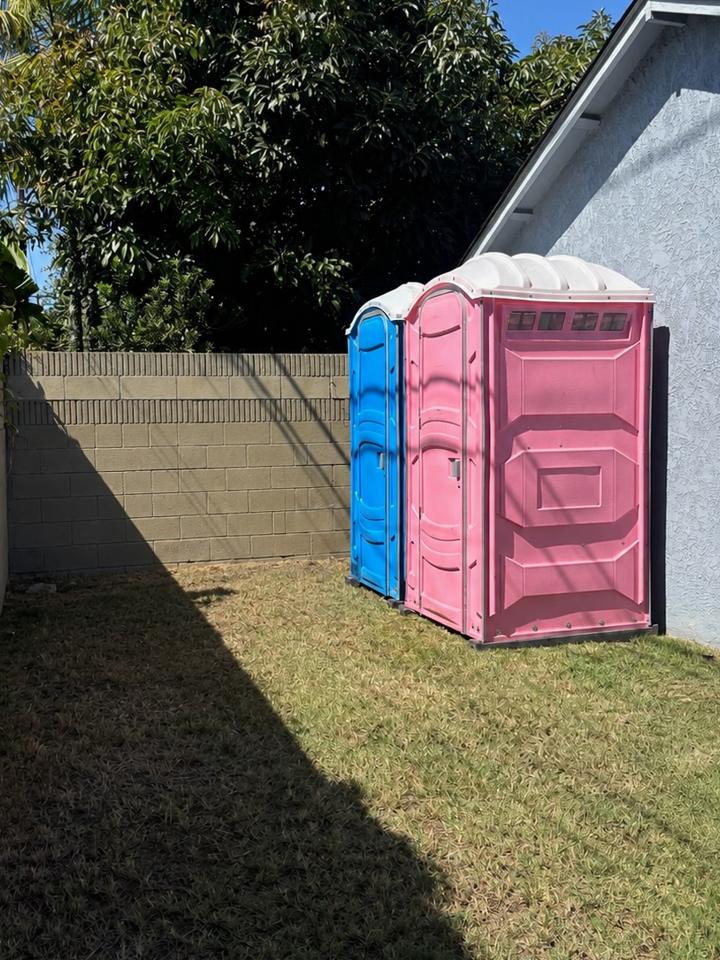 Blue and pink porta potties set on a backyard lawn beside a house